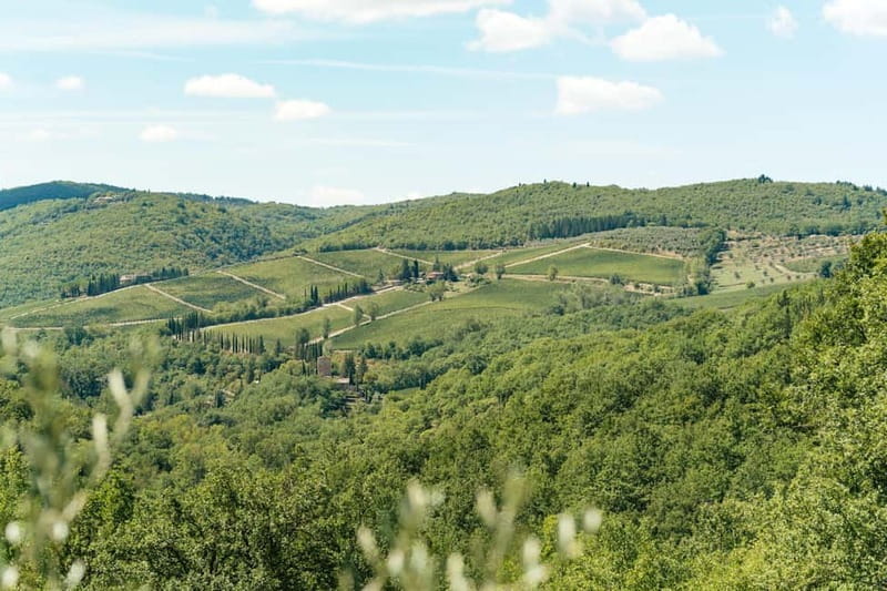 Florence: Chianti Wineries Tour with Wine Tasting - Practical details before you book