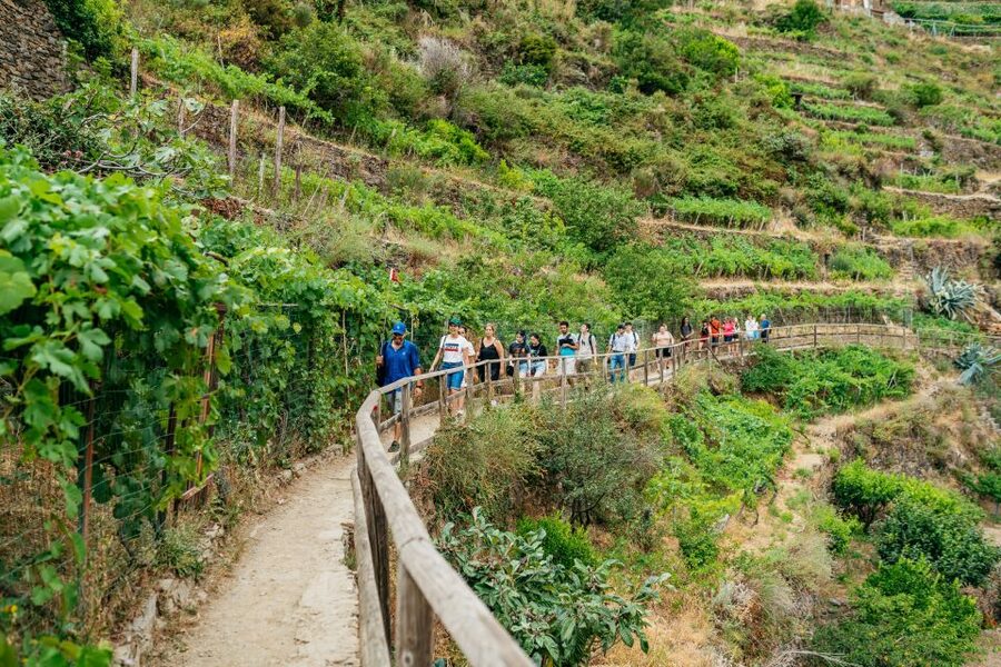 Florence: Cinque Terre Day Trip with Optional Hike - The coach ride to La Spezia
