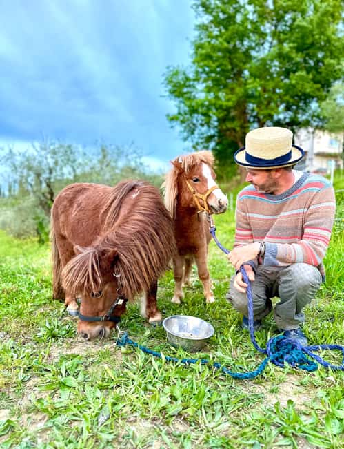 Florence: Countryside Tour with Wine Tasting & Pasta Class - Key points to know