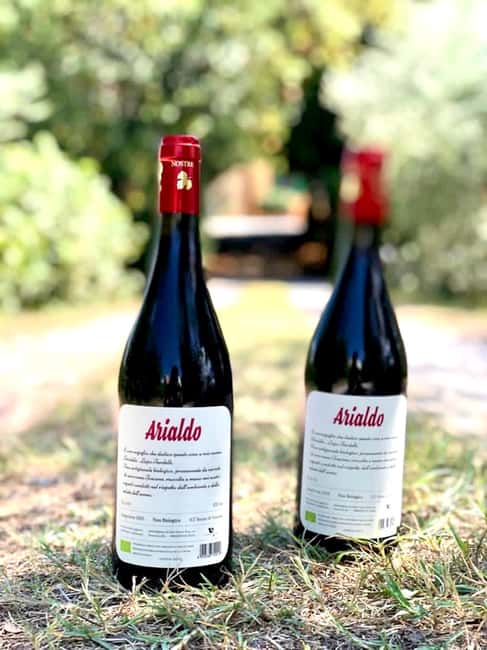 Florence: Countryside Tour with Wine Tasting & Pasta Class - From Florence to the Fucecchio farm