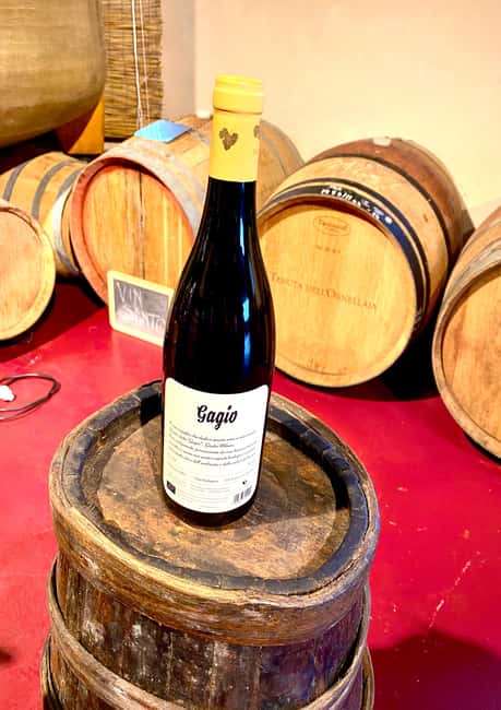 Florence: Countryside Tour with Wine Tasting & Pasta Class - Is $71 a good value?
