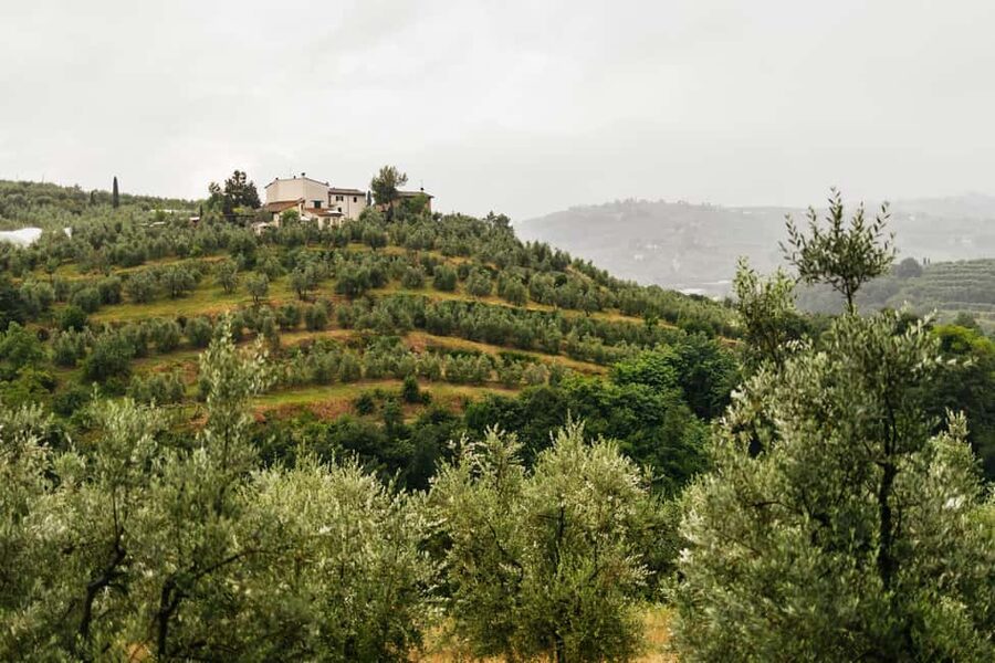 Florence: Countryside Vintage Fiat 500 Driving Tour - Learning to drive a 1960s Fiat 500