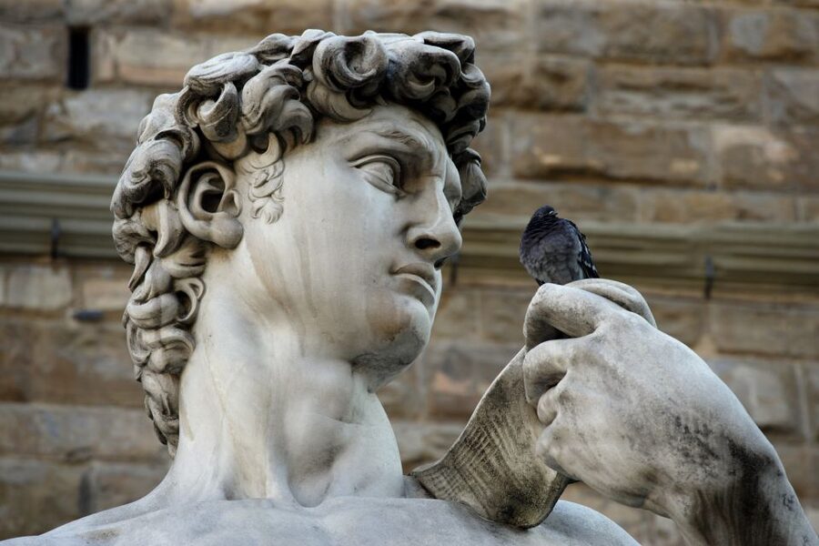 Florence: David's Accademia Gallery Guided Tour - Why David Is Worth Seeing With a Guide
