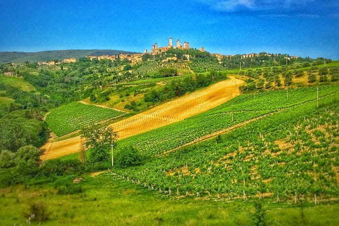 Florence Day Trip: Chianti Wine Tasting, Siena, San Gimignano - The Chianti winery lunch is the centerpiece