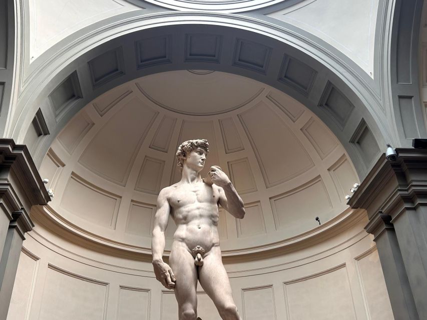 Florence: Michelangelo's David Entrance Ticket and Audio App - Seeing David without waiting at the ticket office