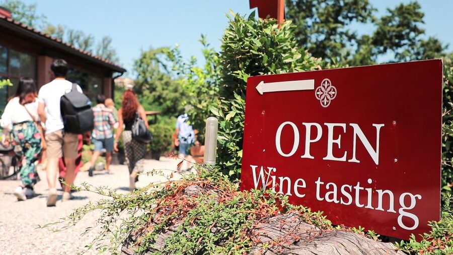 Florence: Pisa, Siena, S. Gimignano, Chianti Wine & Lunch - The Optional Tuscan Lunch and Wine Pairing