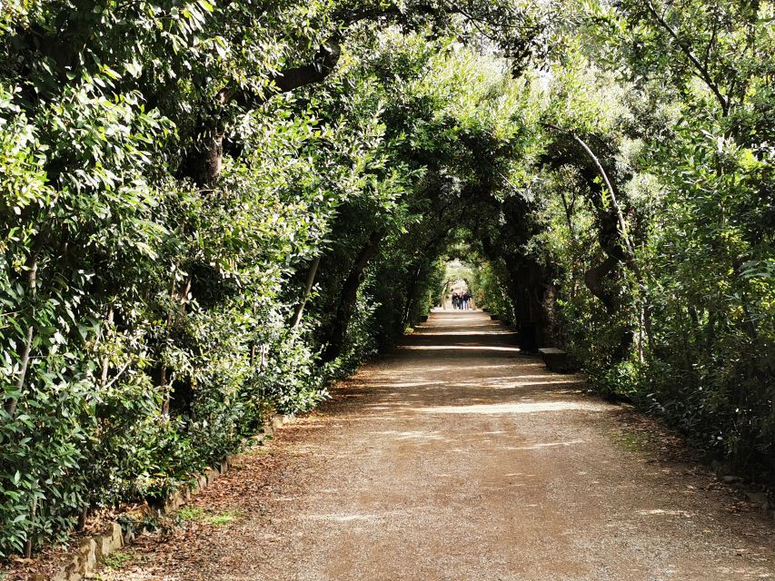 Florence: Pitti Palace, Boboli Garden, Palatine Gallery Tour - Boboli Gardens, from the amphitheater to Florence views