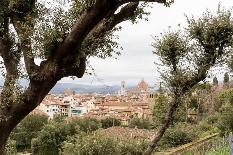 Florence: Reserved Entry Ticket to the Boboli Gardens - Statues, fountains, and the open-air museum