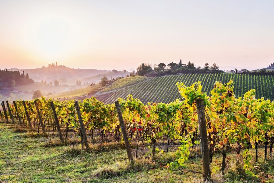 Florence: Siena & San Gimignano Day Trip with Lunch & Wine - Key points to know before booking