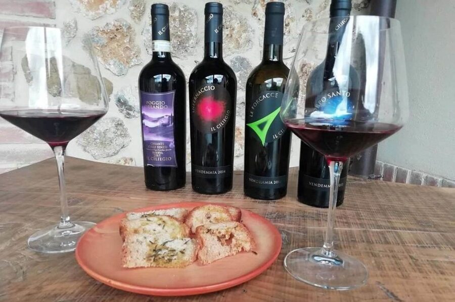Florence: Siena & San Gimignano Day Trip with Lunch & Wine - The organic winery and three-course Tuscan lunch