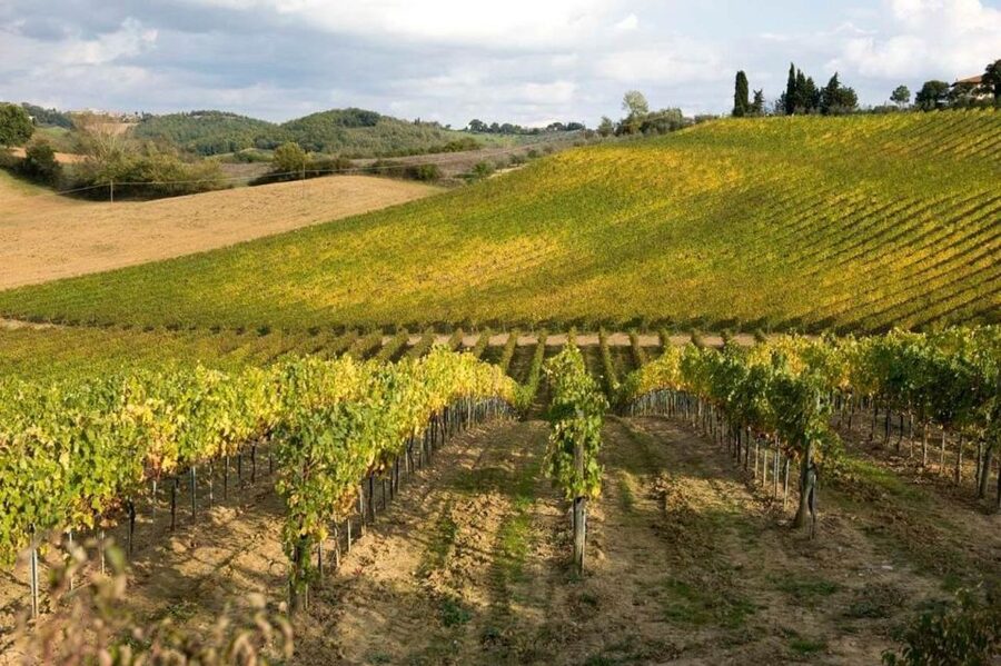 Florence: Siena & San Gimignano Day Trip with Lunch & Wine - Booking details worth knowing