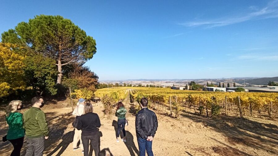 Florence: Valdorcia Wine, Brunello Montalcino, Montepulciano - Who should book this tour