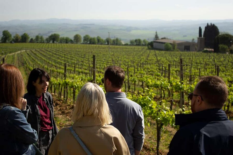 Florence: Valdorcia Wine, Brunello Montalcino, Montepulciano - Why this Val d’Orcia day trip works