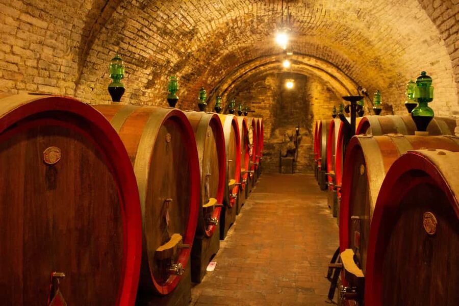 Florence: Valdorcia Wine, Brunello Montalcino, Montepulciano - Pienza, Pecorino, and a three-course lunch