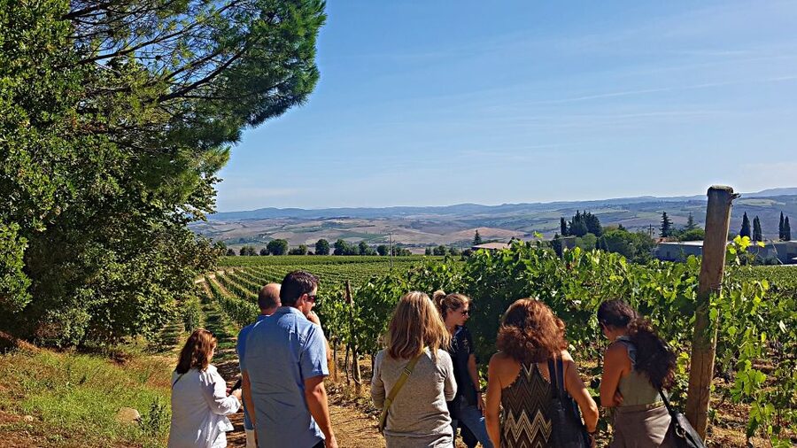 Florence: Valdorcia Wine, Brunello Montalcino, Montepulciano - Weather, comfort, and seasonal differences