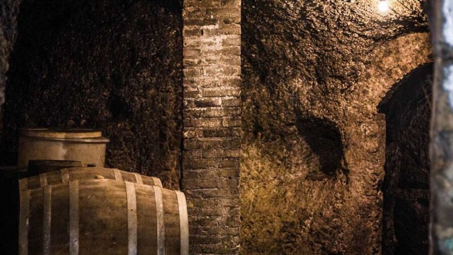 Frascati Wine Road from Rome: Tasting & Lunch - The train plan and the day’s real timing