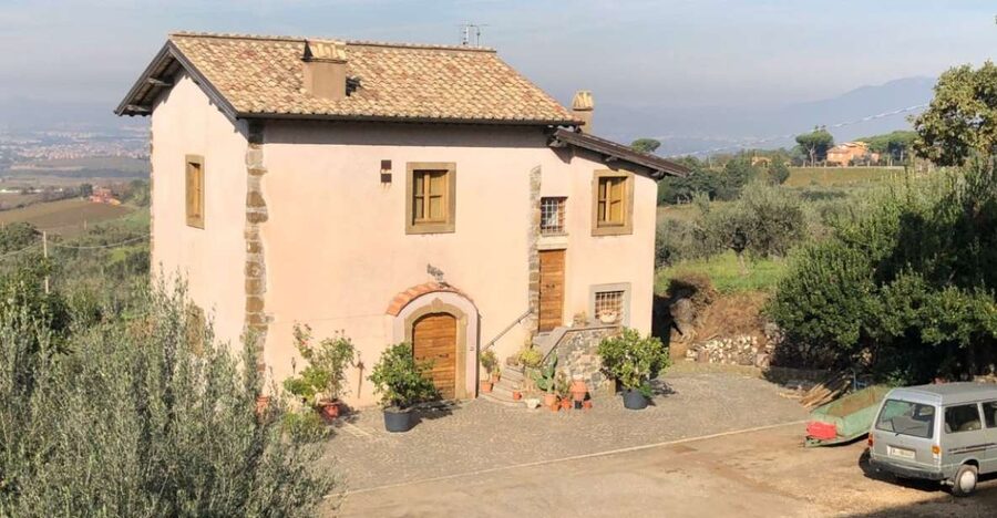 Frascati Wine Road from Rome: Tasting & Lunch - Walking the vines with Rome in the distance