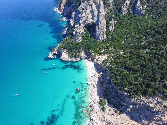 From Arbatax: Full-Day Guided Boat Tour of the Baunei Coast - Why this nine-hour cruise works so well