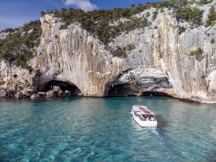From Cala Gonone: Grotta del Bue Marino Boat Trip - Who will enjoy this two-hour outing