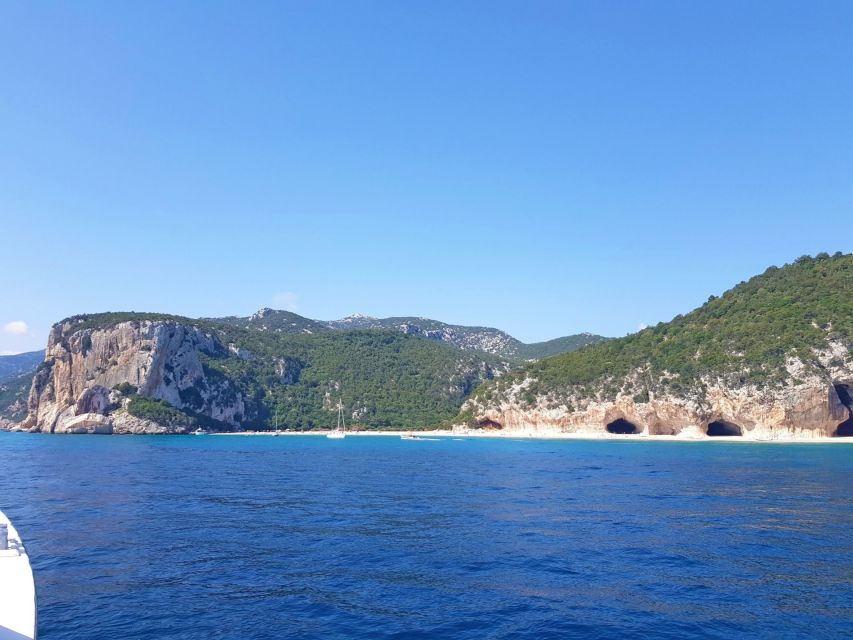 From Cala Gonone: Orosei Gulf Cruise with Stops - Cala Mariolu or Cala Gabbiani