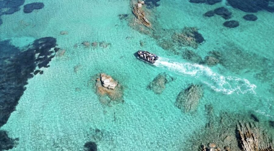 From Cannigione: La Maddalena Archipelago Boat Trip - What the full day from Cannigione feels like