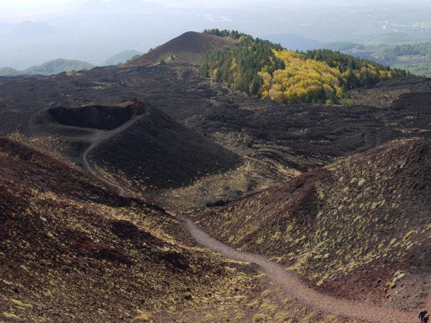 From Catania: Etna tour by Panoramic Bus - Timing can change the short stops