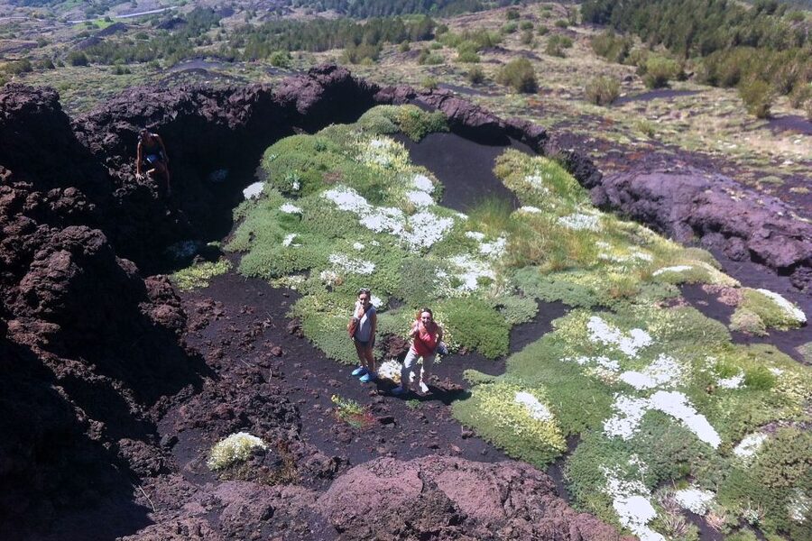 From Catania: Mount Etna Half-Day Tour and Wine Experience - Four or five wines with a generous Sicilian table
