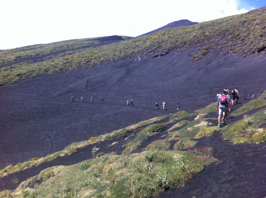 From Catania: Mount Etna Half-Day Tour and Wine Experience - How much walking and effort should you expect?