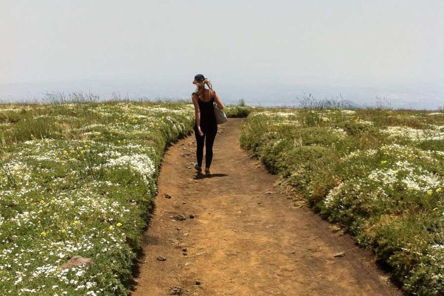 From Catania: Mount Etna Half-Day Tour and Wine Experience - Group size, guides, and the social side of the day