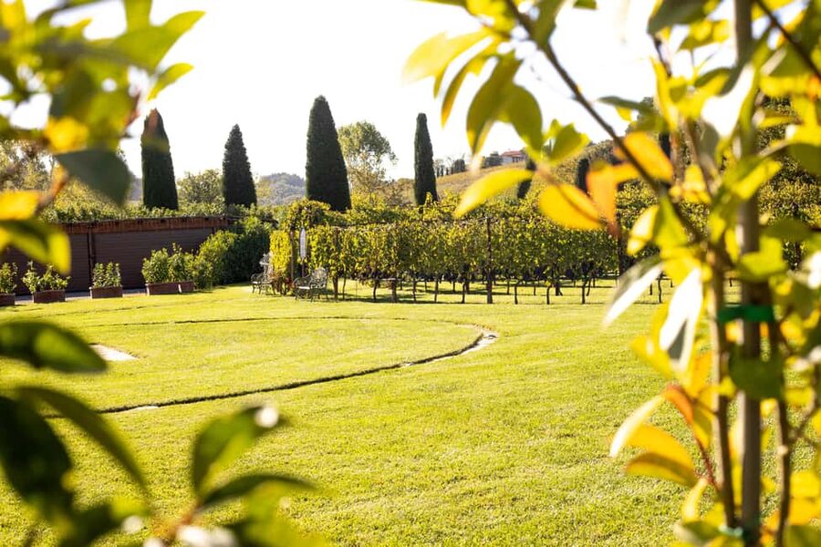 From Florence: Chianti Half-Day Afternoon Tour - Key points at a glance