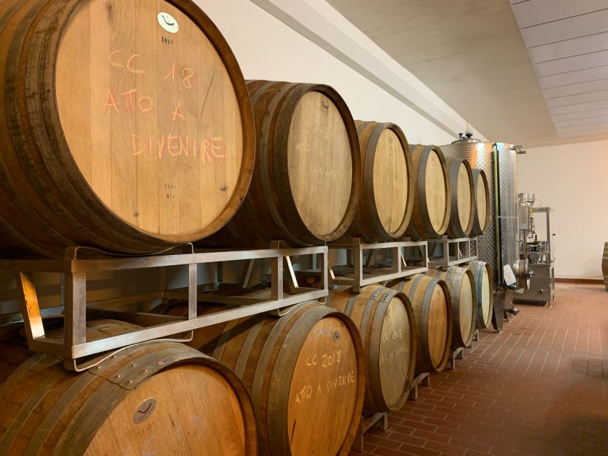 From Florence: Chianti Hills Half-Day Tour with Wine Tasting - Practical details that make the day easier