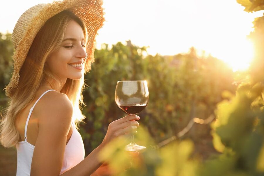 From Florence: Chianti Hills Half-Day Tour with Wine Tasting - Who will enjoy this half-day tour
