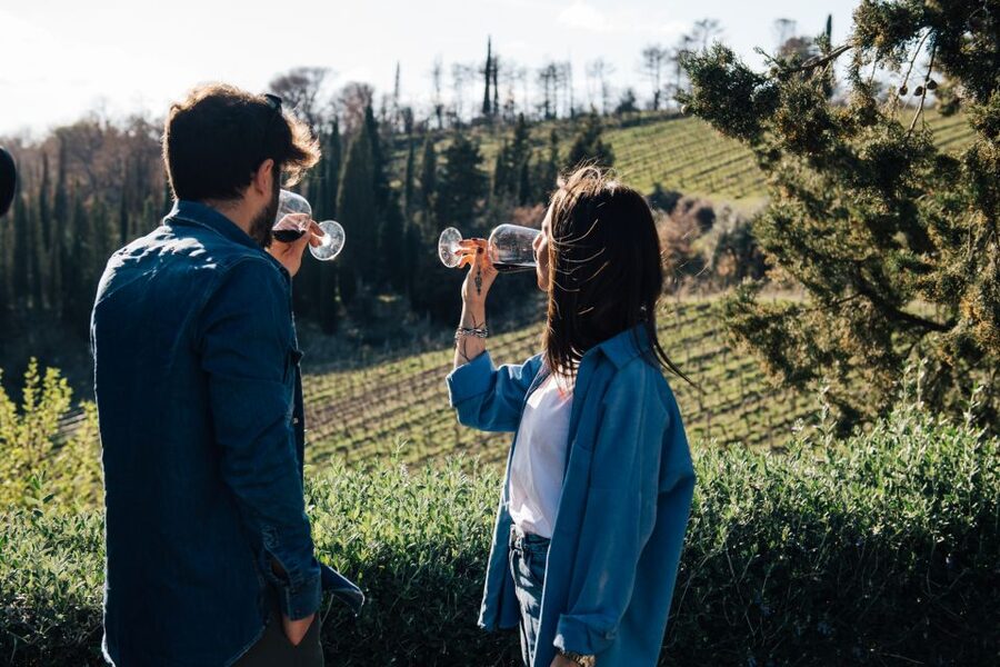 From Florence: Chianti Hills Half-Day Tour with Wine Tasting - Walking the rows and reading the vineyard