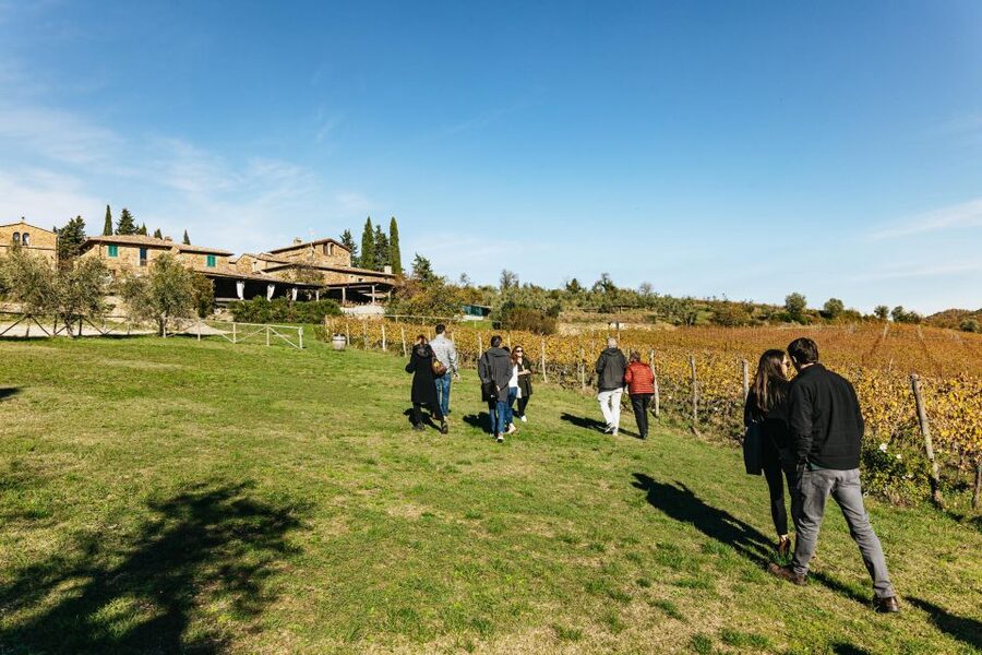 From Florence: Chianti Wine and Food Tasting Safari - Who should book this Chianti safari?