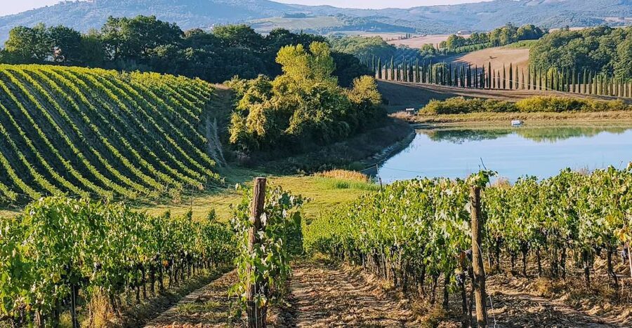 From Florence: Chianti Wine Tastings at Sunset Day Trip - Key points to know before leaving Florence