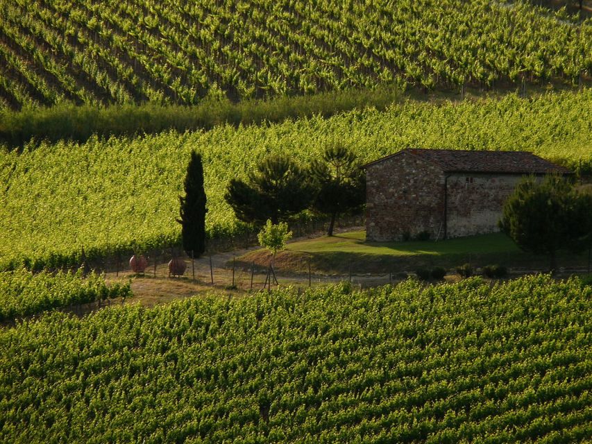 From Florence: Chianti Wine Tastings at Sunset Day Trip - Why this Chianti trip works well from Florence
