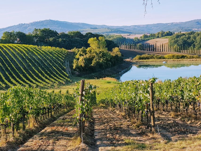 From Florence: Chianti Wine Tastings at Sunset Day Trip - Two family wineries, two different personalities