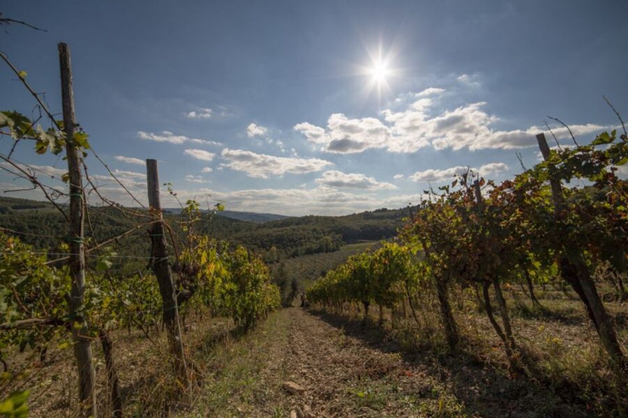 From Florence: Chianti Wine Tastings at Sunset Day Trip - The ride through Tuscany and the first photo stops