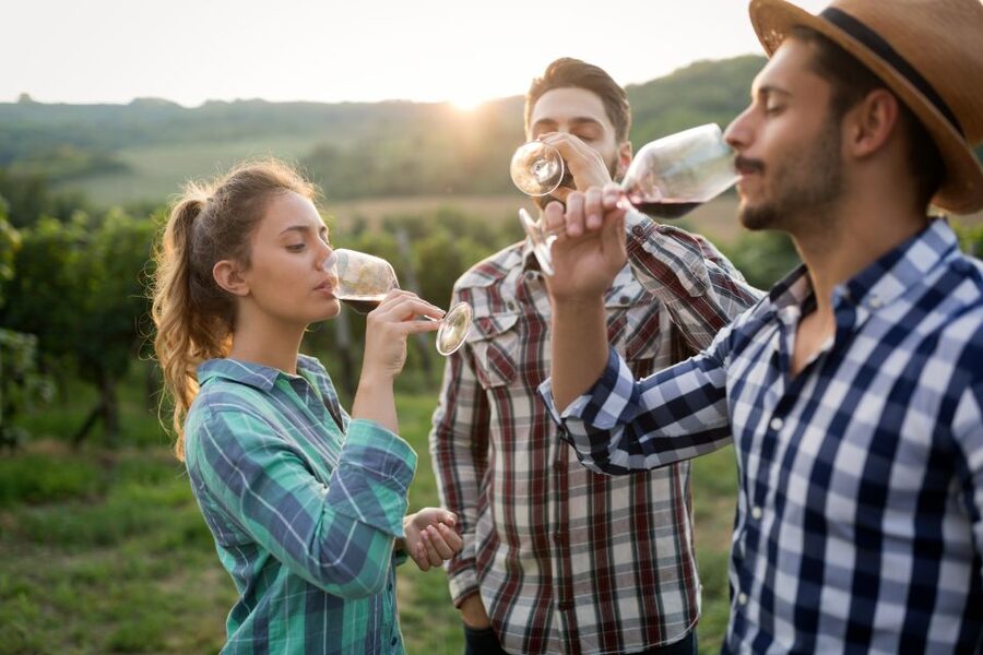 From Florence: Chianti Wine Tour with Tasting - Should you book it?