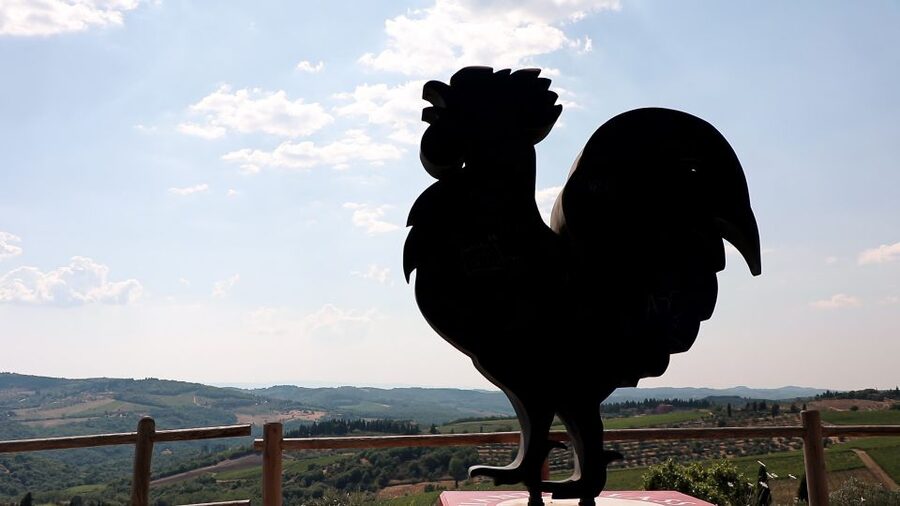 From Florence: Chianti Wine Tour with Tastings - Who should book this Chianti outing?