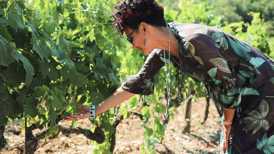 From Florence: Chianti Wine Tour with Tastings - From Florence to the Chianti hills