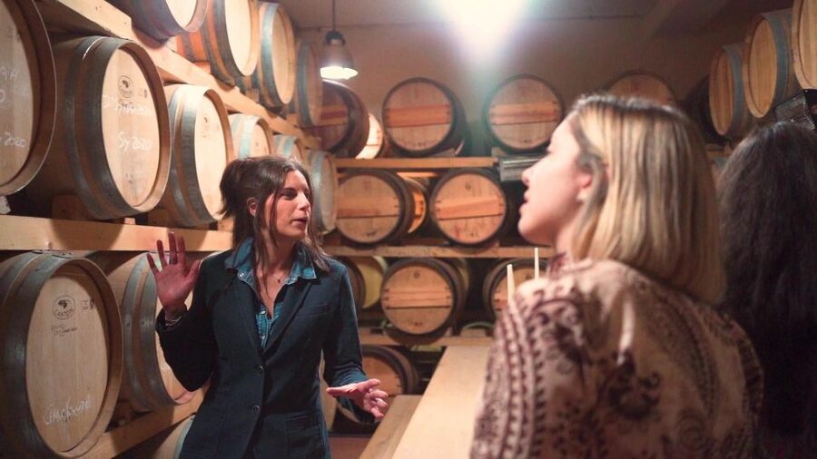 From Florence: Chianti Wine Tour with Tastings - Price, timing, and what the value really is