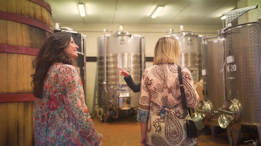 From Florence: Chianti Wine Tour with Tastings - Walking, accessibility, and what to bring