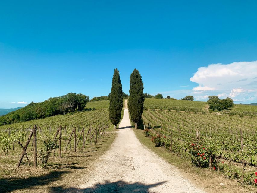 From Florence: Private Chianti Hills Tour with Tasting - What the guides add to the experience