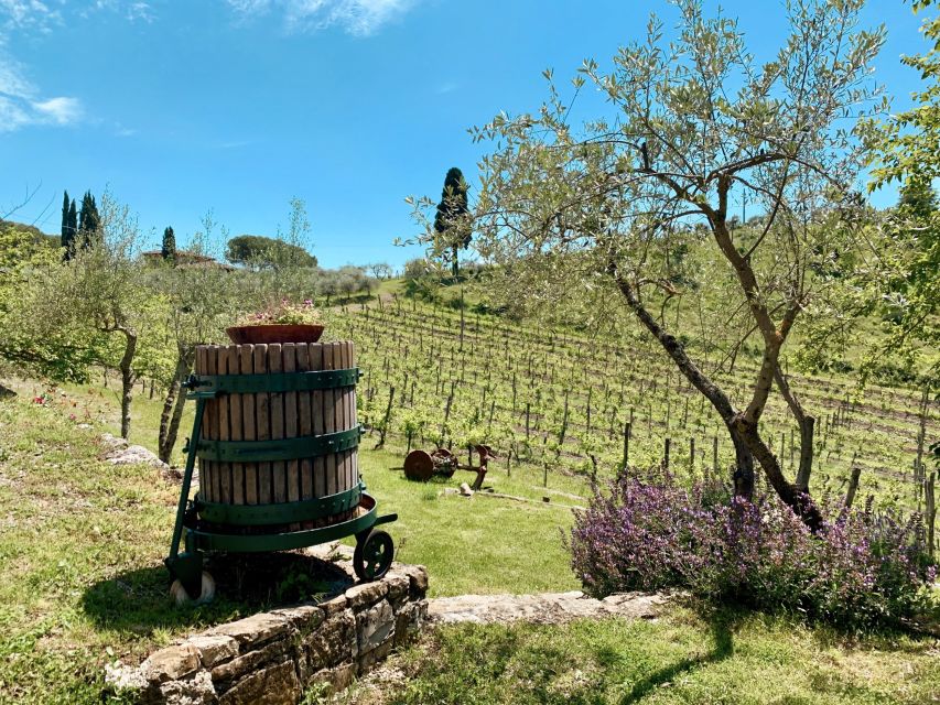From Florence: Private Chianti Hills Tour with Tasting - The best time to take this afternoon tour