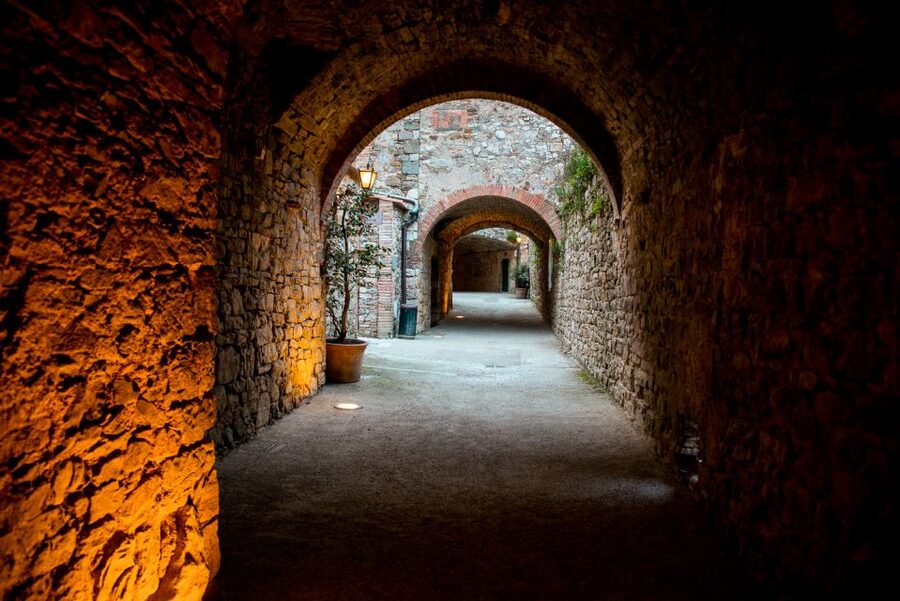 From Florence: Private Chianti Hills Tour with Tasting - Who will enjoy this Chianti outing most?