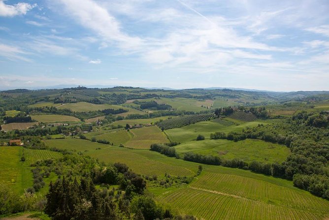 From Florence: Small-Group Tuscany Wine & Oil Tour with typical Tuscan Meal - A three-course Tuscan lunch with estate wine