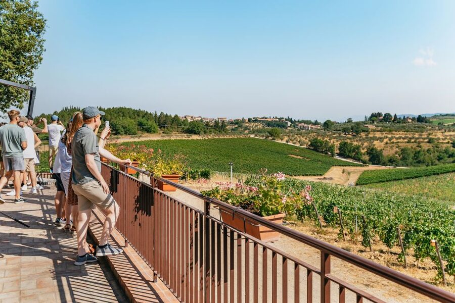 From Florence: Small Group Wine Tasting Tour to Tuscany - My call: book it for access, not wine collecting