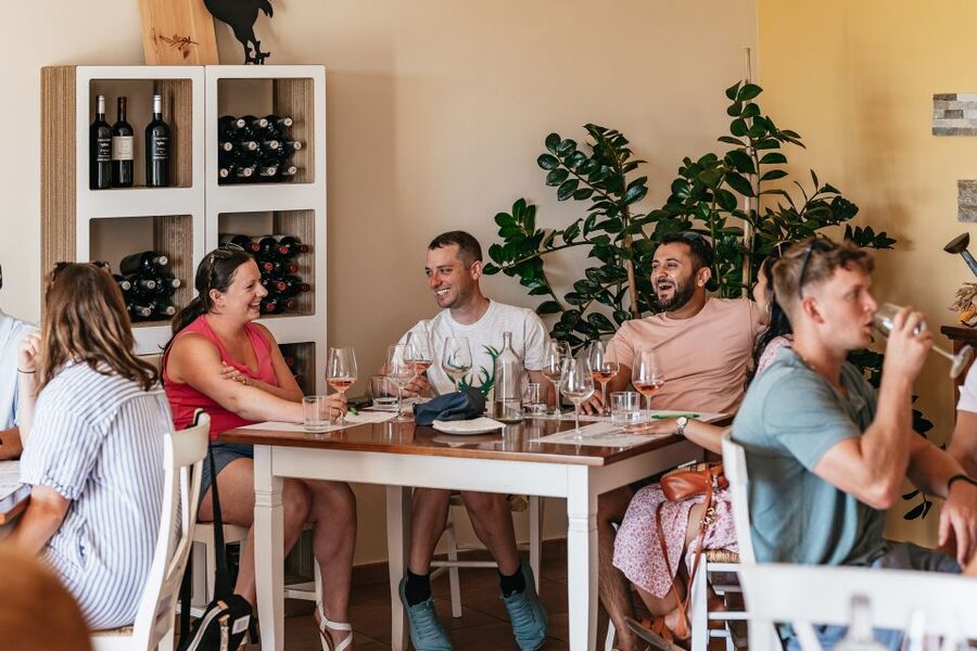 From Florence: Small Group Wine Tasting Tour to Tuscany - Small group benefits, with one important qualification