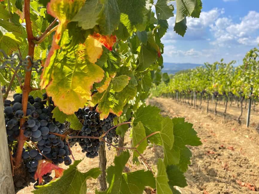 From Florence: Tuscany & San Gimignano Tour with 2 Tastings - The first winery: polished tastings and Tuscan specialties